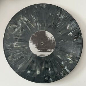 cv313 ‎– Sailingstars