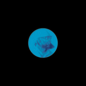 DJ Surgeles – Triglav