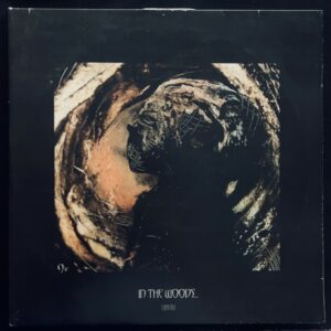 In The Woods... ‎– Omnio